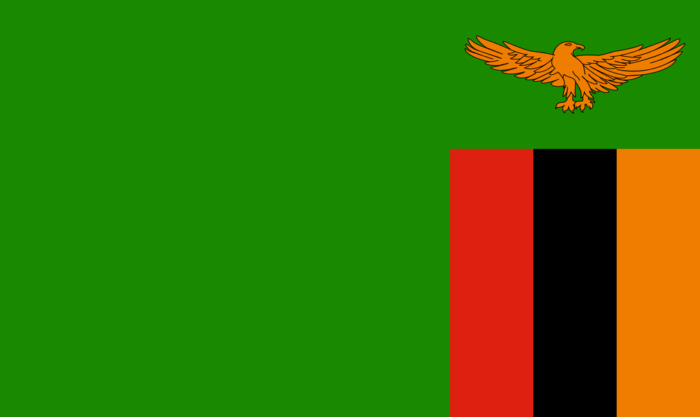 ZAMBIA NATIONAL BCH  PROJECT
